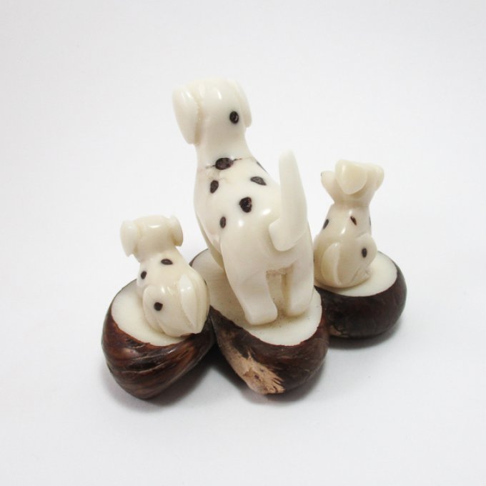 Famille dalmatiens en ivoire végétal