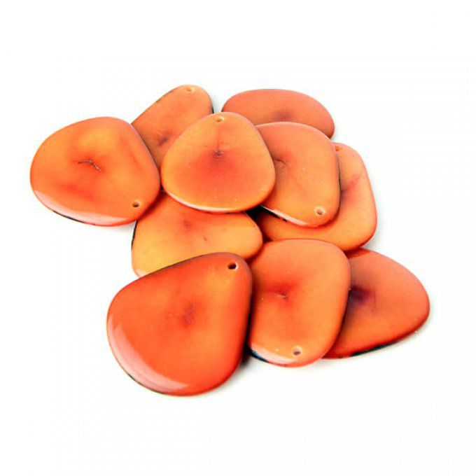 Petite tranche fine de la tagua orange