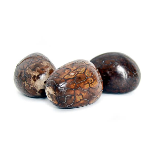 Lot de 3 noix de tagua décoratives