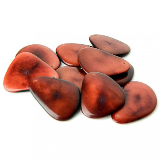 Pétale de la tagua marron foncé