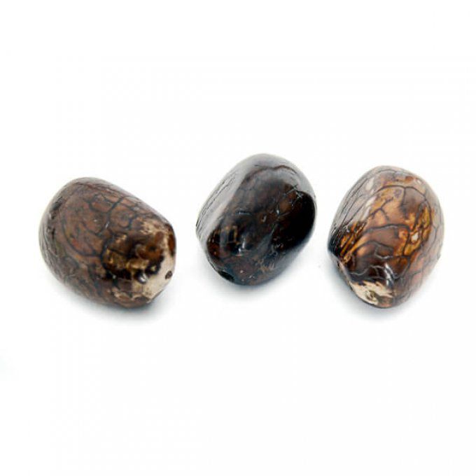 Lot de 3 noix de tagua décoratives
