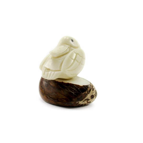 Canard en ivoire végétal