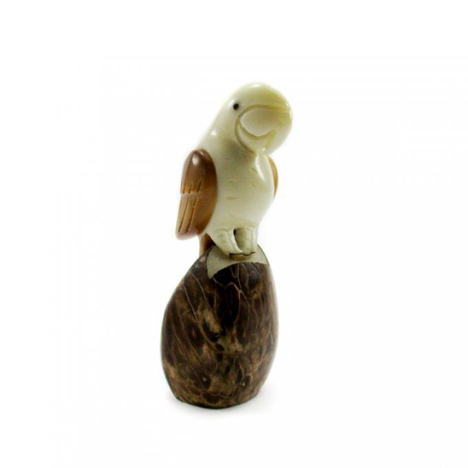 Figurine perruche sculptée dans la graine de tagua appelée aussi ivoire végétal