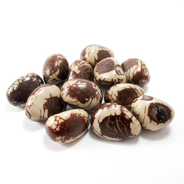 Graine de tagua - ivoire végétal