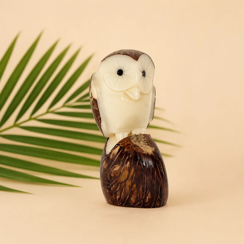 Décorations naturelles en tagua